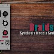 Mutable Instruments Braids Synthesis Models Series 28