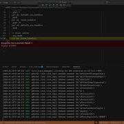 RISC V Trace Debugger