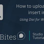3 Images How To Upload And Insert Images Using Divi For WordPress
