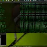 Attack Windows 7 With Metasploit