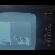 Cow Error 153 On The 1984 TV