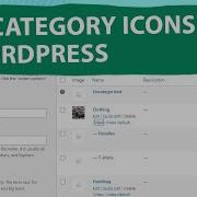 How To Add Category Icons In WordPress