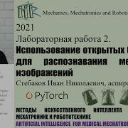 AI4MMR Лаб 2 Использование открытых баз данных для распознавания медицинских изображений
