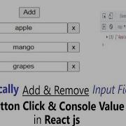 Dynamically Add And Remove Input Field When Button Clicked In React JS