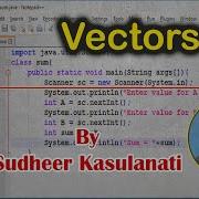 Java 13 Vectors