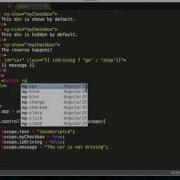 AngularJS Basics Fundamentals Part 7 7