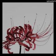 Sold Ambient Interlude Type Beat Flowers