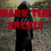 Locust Lyrics