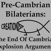 Pre Cambrian Bilaterians The End Of Cambrian Explosion Arguments With JacksonWheat