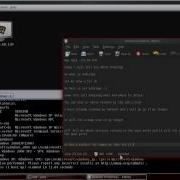 Armitage Cyber Attack Management For Metasploit