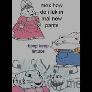 Beep Beep Lettuce