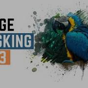 Effect Image Mask Using HTML CSS