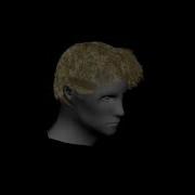3D Dynamics Class Project 3 Hair Simulation
