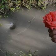 Amazing Water Vortex Experiment Whirlpool Hole Vs Flower