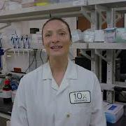 Single Cell Gene Expression Protocol V3 1 Loading Chromium Next GEM Chip G