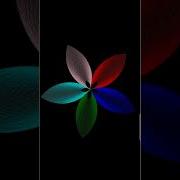 Beautiful Flower By Using Turtle Graphics In Python Turtlegraphics Python Coding Shorts