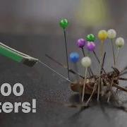 I Milked 1000 Spiders To Make Guitar Strings