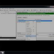 TRAPMINE Vs Flash 0day Angler Exploit Pack