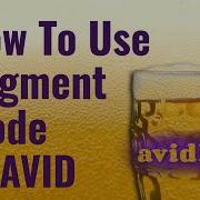 How To Use Segment Mode In AVID
