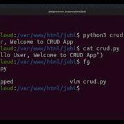 Python MySQL CRUD