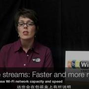 MIMO Multiple Input Multiple Output With Chinese Subtitles