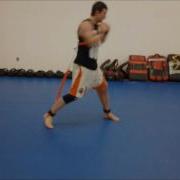 Introducing The Stroops Python Striker MMA Speed Training
