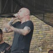 Brutal Assault 2019 Aborted Termination Redux