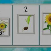 Sequencing