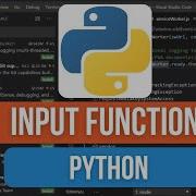 How To Use The Input Function In Python