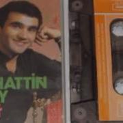 Selahattin Alpay Gitme Turnam Gitme