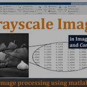Grayscale Image In Digital Image Processing Grayscale Image In Matlab