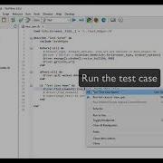 TestWise First Test