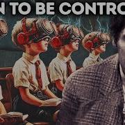 How They Programmed Your Mind Since Childhood No Bs