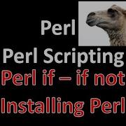 Perl Script Perl Programming Perl If Not Perl Scripting Installing Perl On Windows 10 Perl