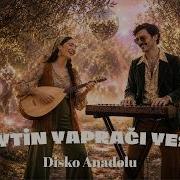 Zeytin Yaprağı Yeşil Disko Anadolu Anatolian Retrowave