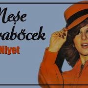 Neşe Karaböcek Niyet 45 Lik Plak Kayıtları