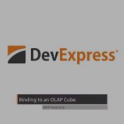 WPF Pivot Grid Binding To An OLAP Cube