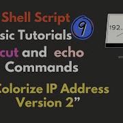 Bash Script For Colorize IPv4 Address Using Regex And Cut Command