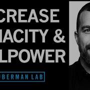 How To Increase Your Willpower Tenacity Huberman Lab Podcast