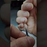 New Bectuoi Lesson Attention