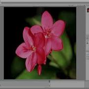 EditorPaint For Unity3D 2D Paint Window