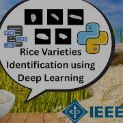 Rice Varieties Identification Using Deep Learning Python Final Year IEEE ML Project