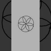 Draw Flower In Python Python Coding Status Shorts Programming Pythoncoding Python
