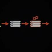 CPanel Tutorials How To Use Pull Manual Deployment With Git Version Control