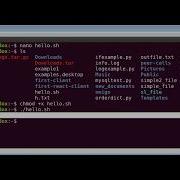 Hello World Bash Script In Linux