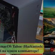 Windows 11 MacOS Tahoe Hackintosh и SteamOS на одном компьютере