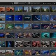 Offline Image Tagging Automatically Generate Keywords For Images And Videos