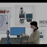 Labster Virtual Lab Meiosis Simulation