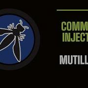 Command Injection Vulnerability Explained EP1 Mutillidae OWASP Lab