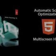 RoboHelp 10 Automatic Content Optimization